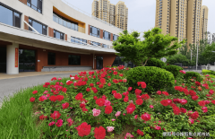 00平方米“五感花圃”种植迷迭喷鼻、薄荷等芳喷